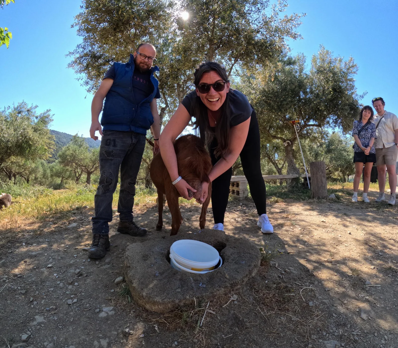 Crete 4x4 Tour: Farm Visit, Cooking Class, Pottery & Lunch