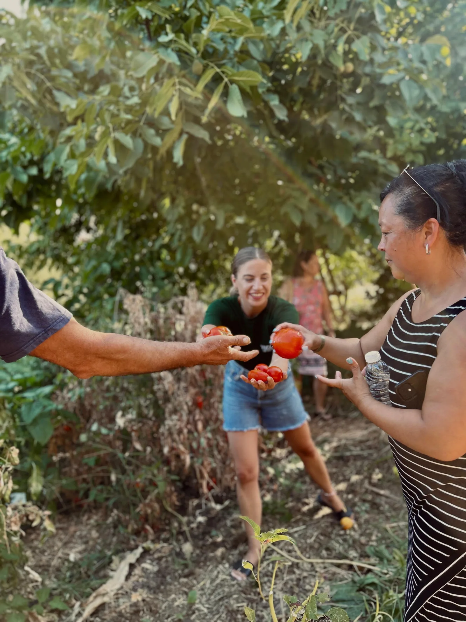 Chania Area: Cooking Class at a Farm in Stylos Village